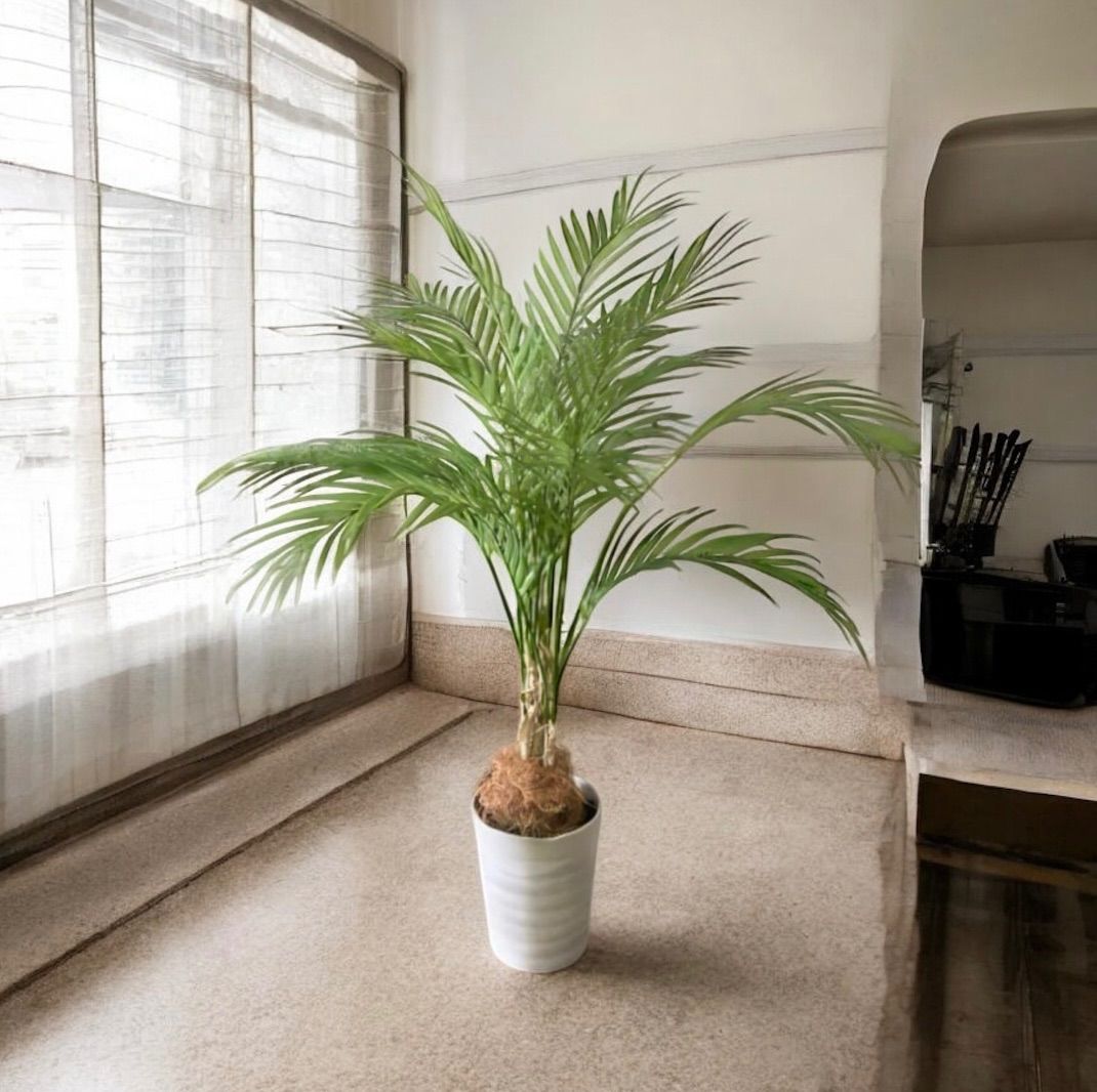 光触媒 人工観葉植物 ウォール グリーン フェイクグリーン アレカヤシ