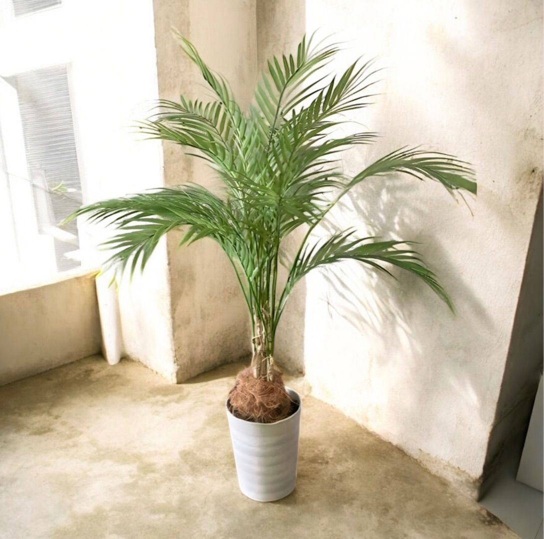 光触媒 人工観葉植物 ウォール グリーン フェイクグリーン アレカヤシ