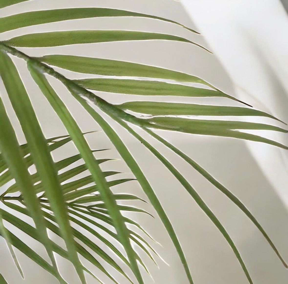 光触媒 人工観葉植物 ウォール グリーン フェイクグリーン アレカヤシ