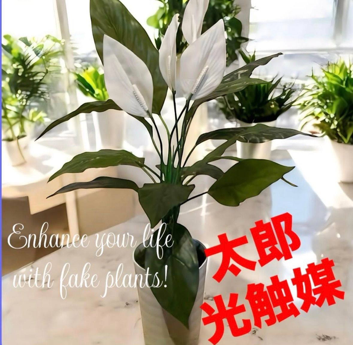 光触媒　人工観葉植物　ウォールグリーン　フェイクグリーン　スパティフィラムＰＥ 光触媒 人工観葉植物 ウォールグリーン フェイクグリーン