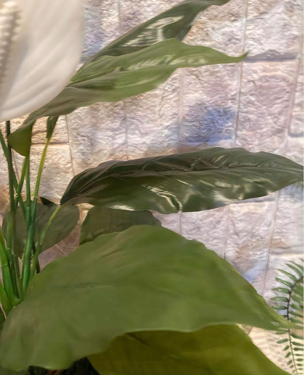 光触媒 人工観葉植物 ウォールグリーン フェイクグリーン