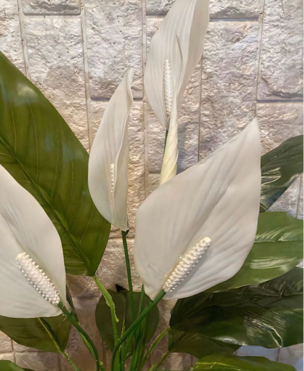 光触媒　人工観葉植物　ウォールグリーン　フェイクグリーン　スパティフィラムＰＥ 光触媒 人工観葉植物 ウォールグリーン フェイクグリーン