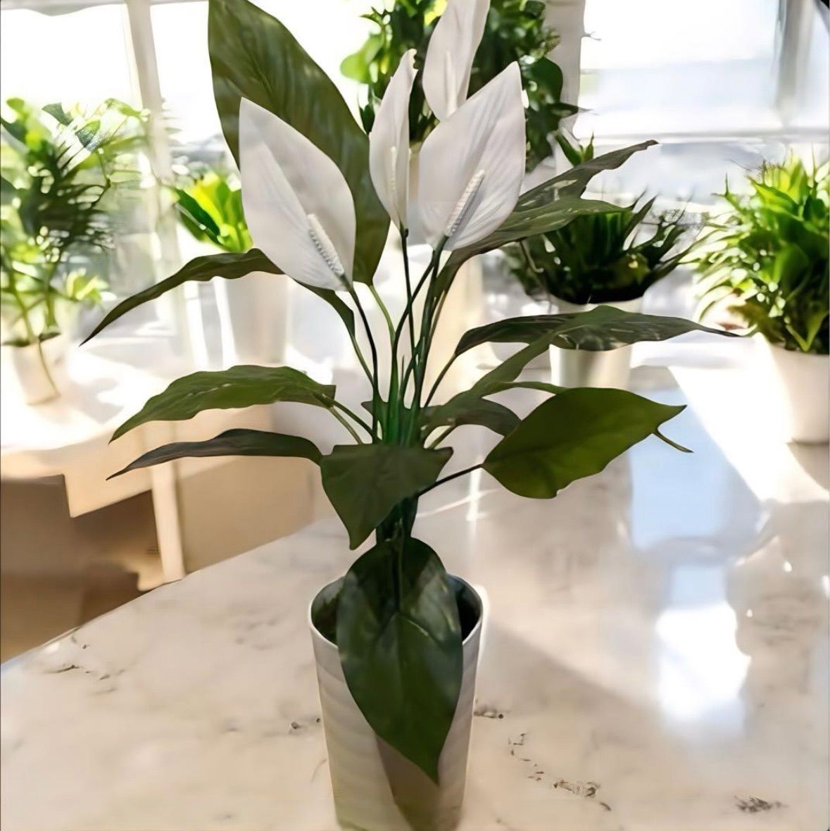 光触媒　人工観葉植物　ウォールグリーン　フェイクグリーン　スパティフィラムＰＥ 光触媒 人工観葉植物 ウォールグリーン フェイクグリーン