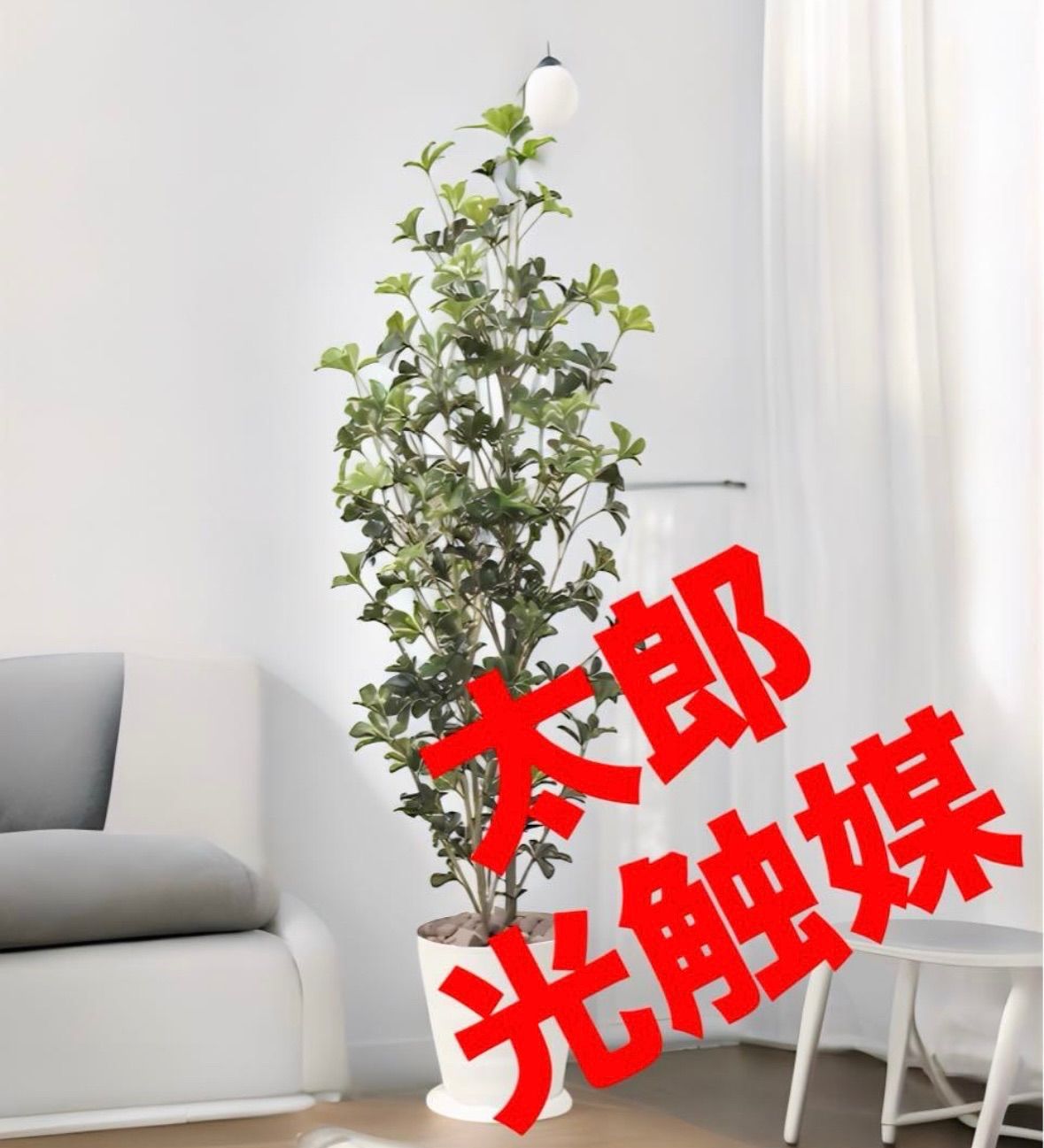 光触媒 人工観葉植物 ウォールグリーン フェイクグリーン シェフレラ