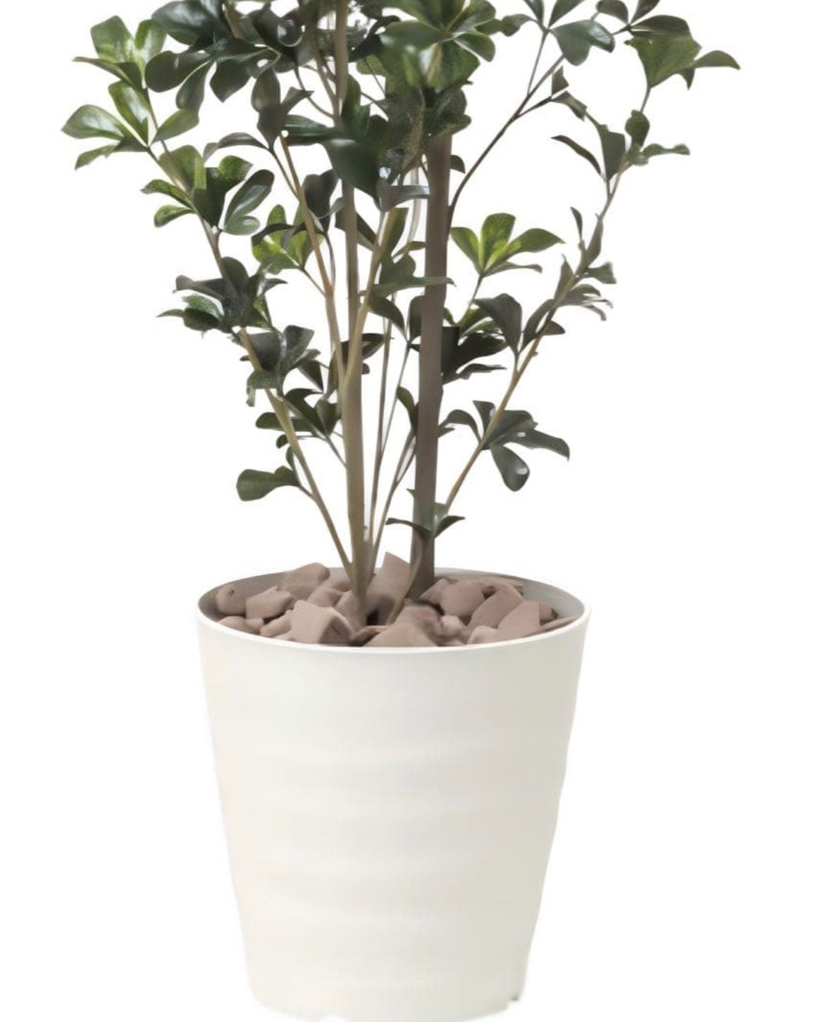 光触媒 人工観葉植物 ウォールグリーン フェイクグリーン シェフレラ