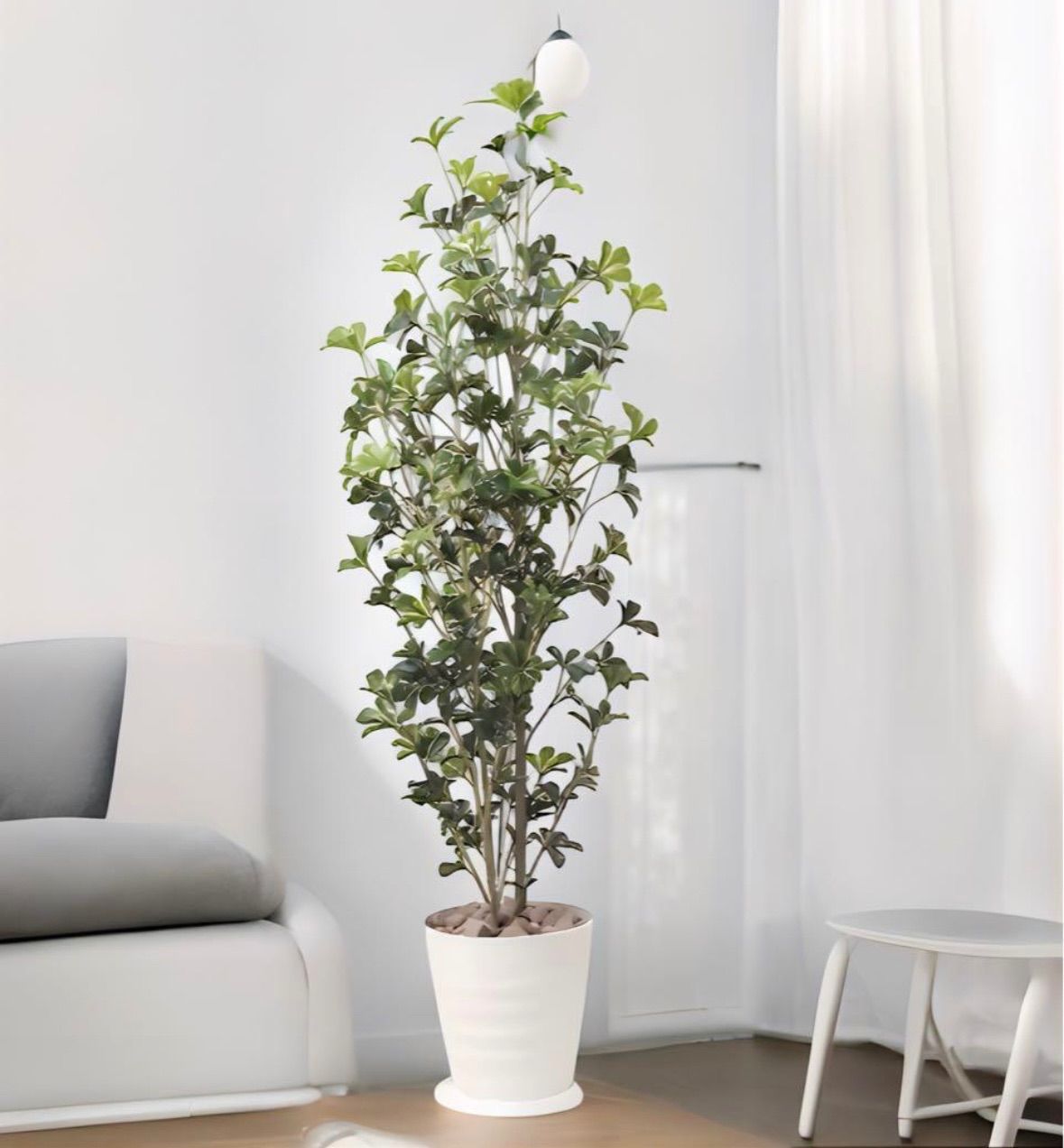 光触媒 人工観葉植物 ウォールグリーン フェイクグリーン シェフレラ