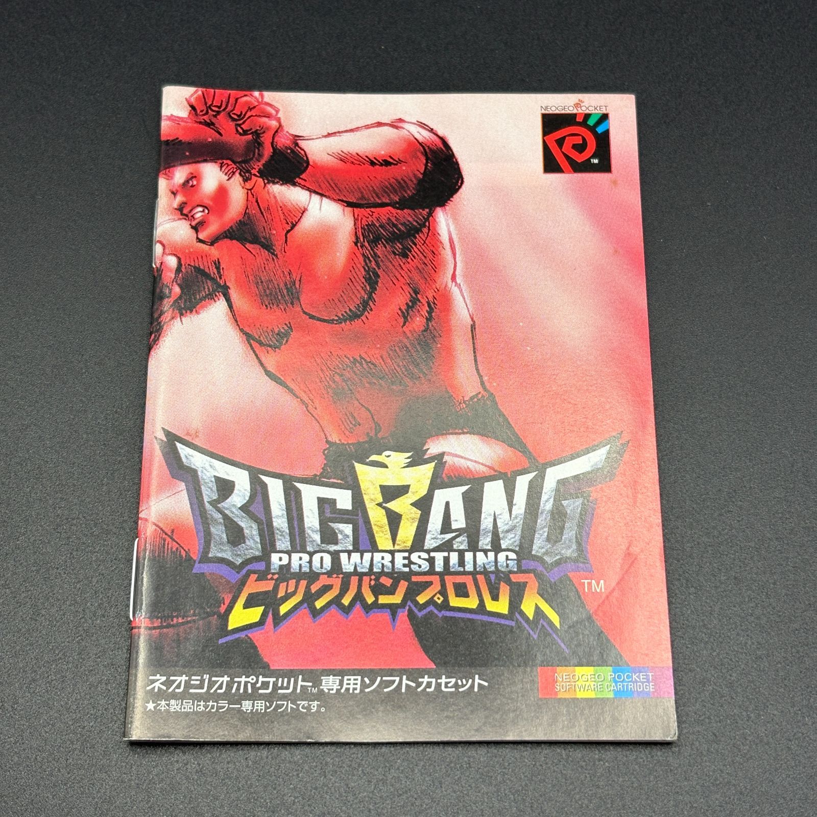 BIGBANG PRO WRESTLING ビッグバンプロレス 説明書付き ネオジオ