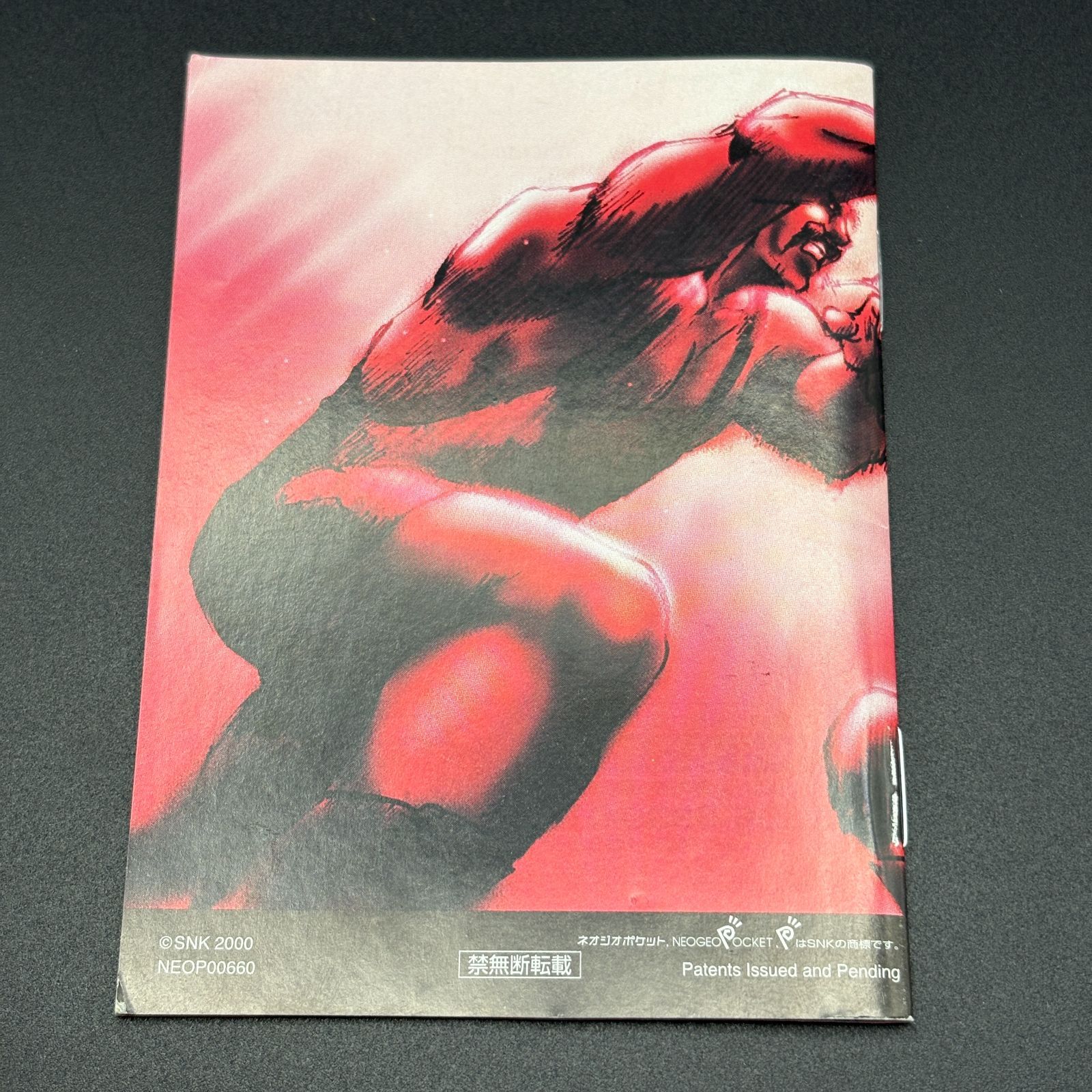 BIGBANG PRO WRESTLING ビッグバンプロレス 説明書付き ネオジオ