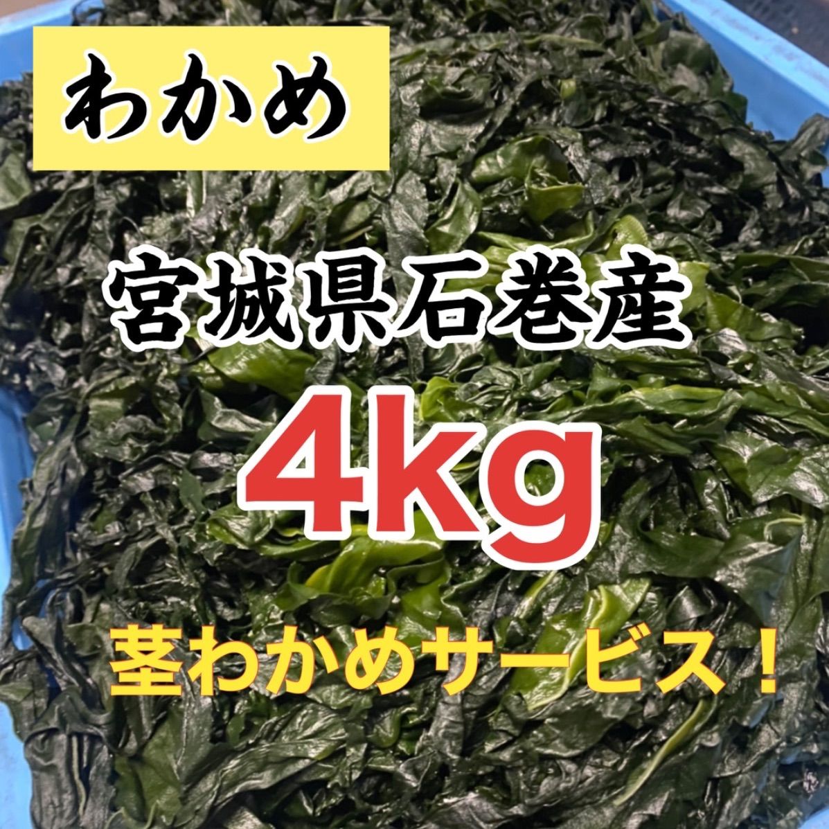 塩蔵わかめ 宮城県石巻産 10袋 【公式通販】