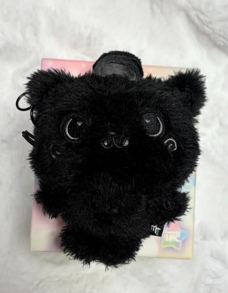 NCT エヌシーティー COLOR WIND AND WISH ドール ウィブブ クーリー Secret Honey ブラック LEE ぬいぐるみ キーホルダー