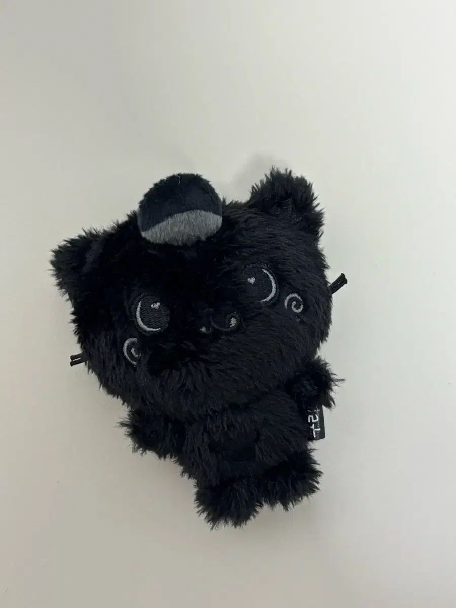 NCT エヌシーティー WIND AND WISH ウィッシュ COLOR COLORドール クーリー シークレットハニー