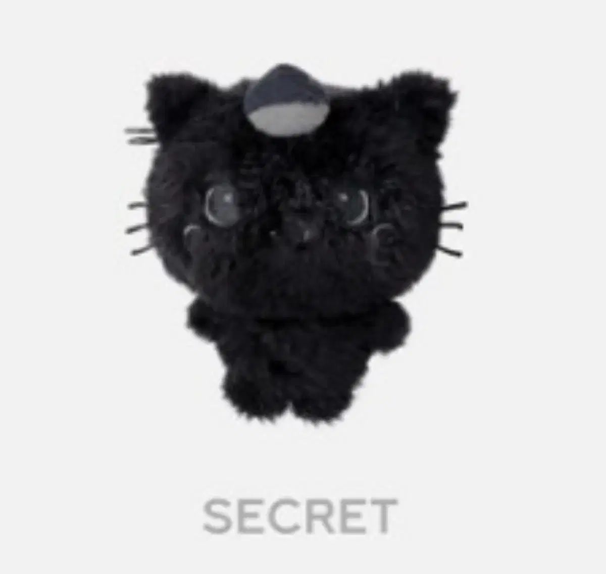 NCT エヌシーティー WIND AND WISH ウィッシュ COLOR COLORドール クーリー シークレットハニー