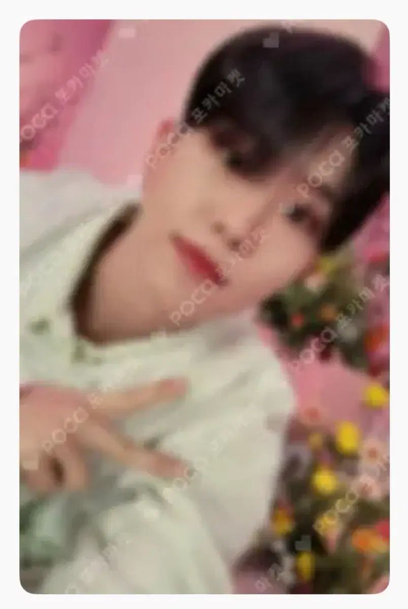 SEVENTEEN ホシ トレカ