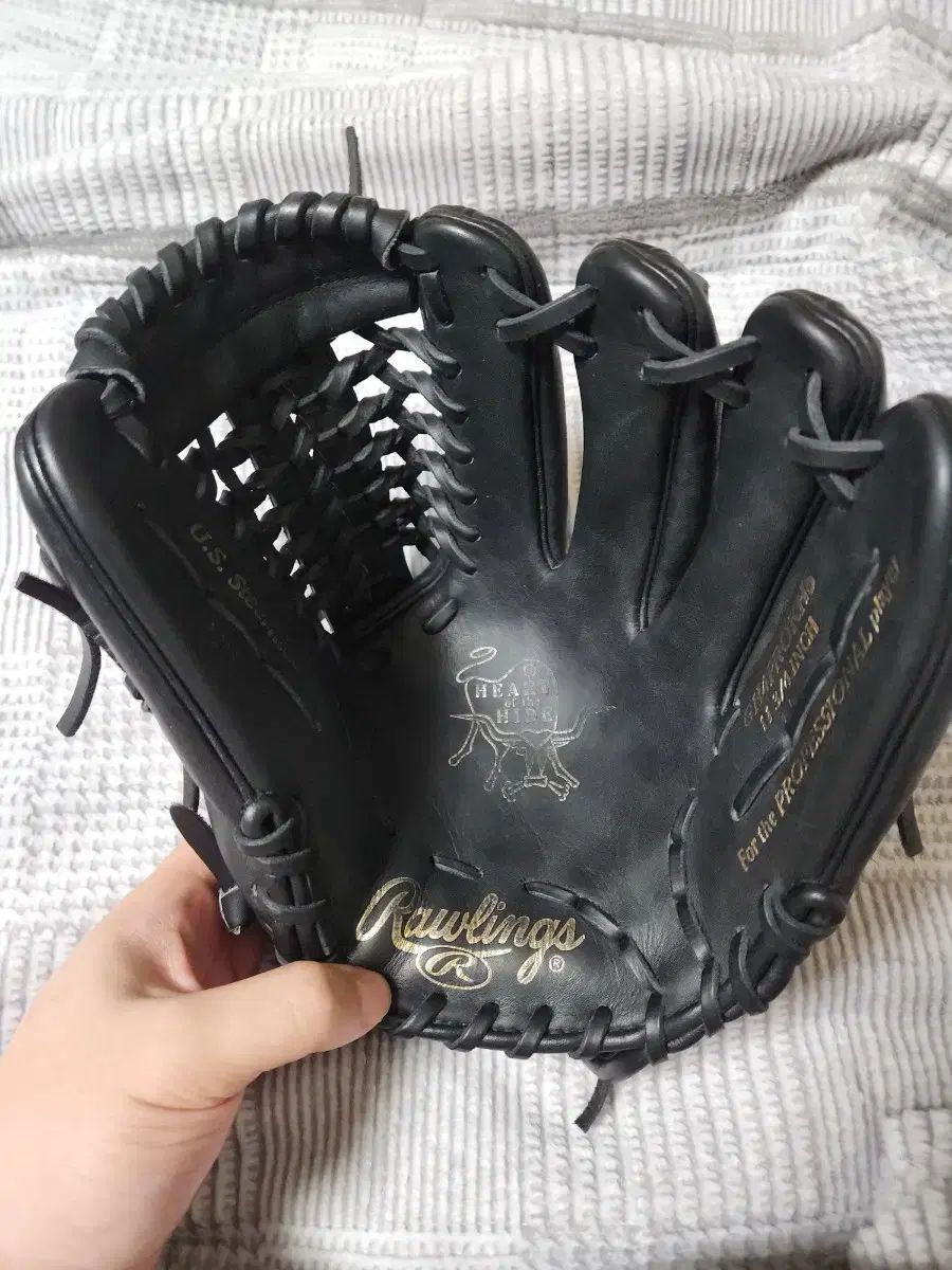 ローリングス キム ハソン グローブ