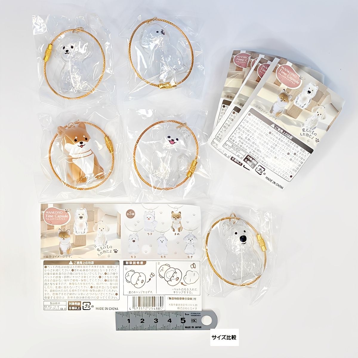 わんこのタイムカプセル ヒロイチ 【全5種セット(フルコンプ