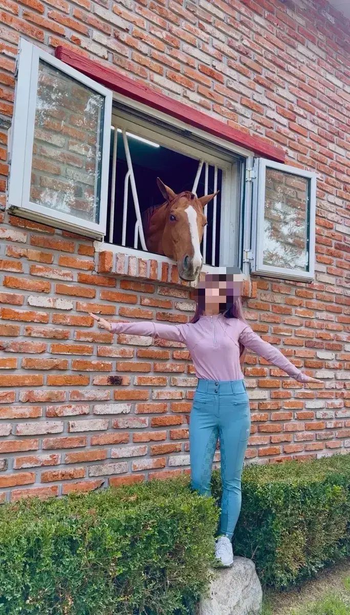 マクシミリアン トップス 乗馬服トップス