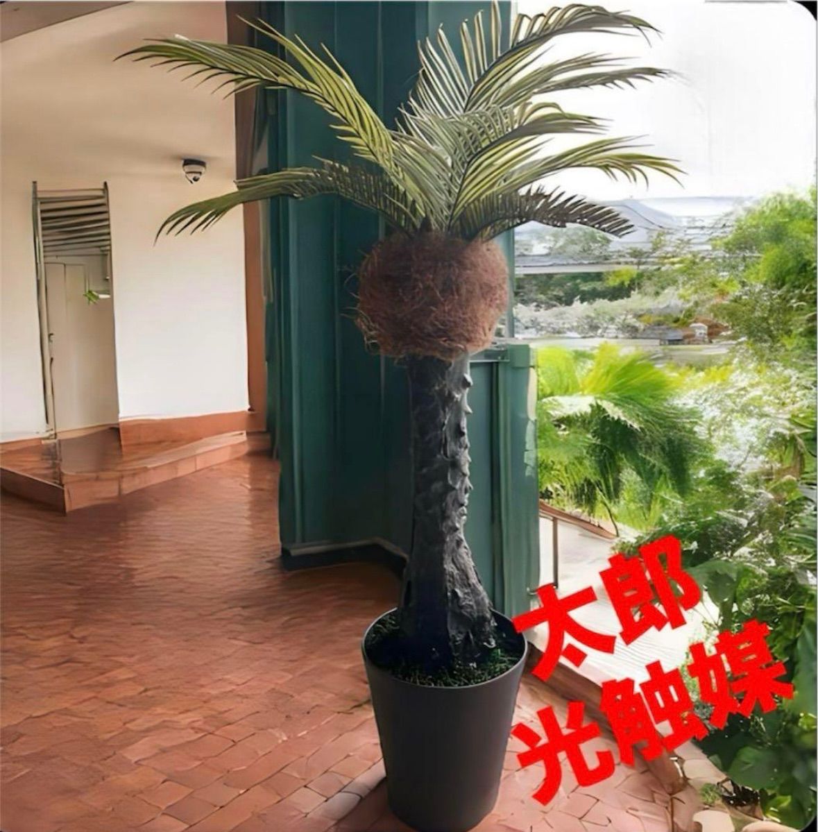 光触媒 人工観葉植物 ウォールグリーン フェイクグリーン フェニックス