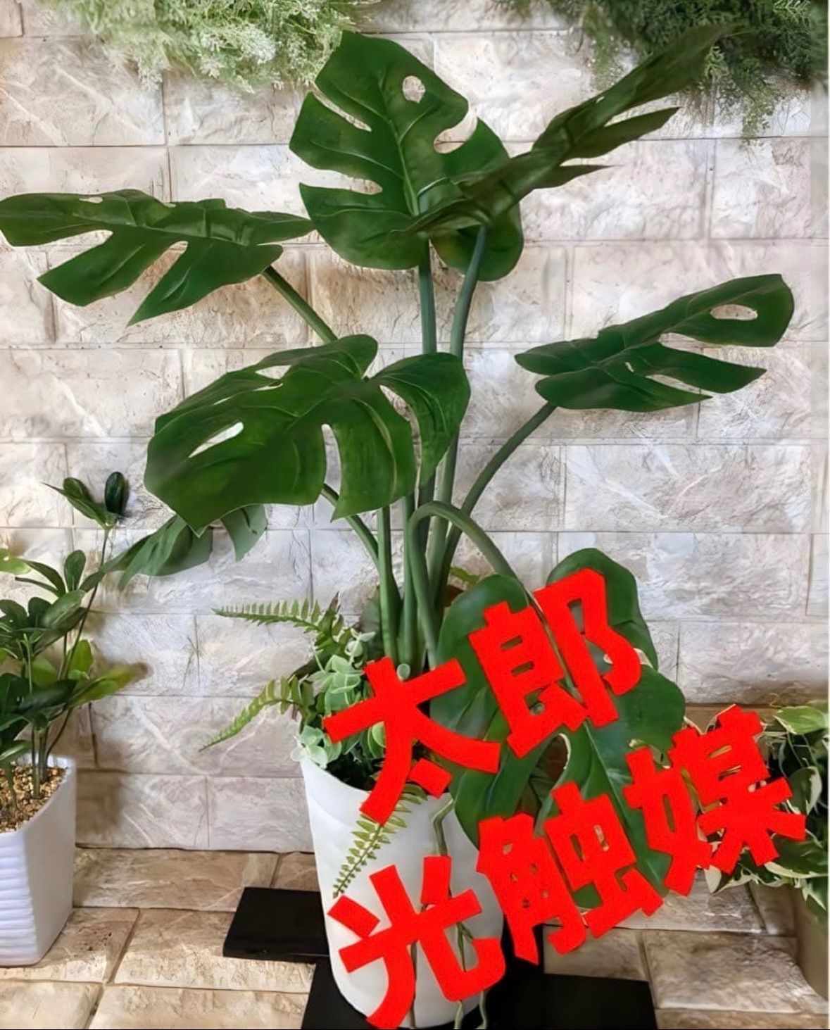 光触媒 人工観葉植物 ウォールグリーン フェイクグリーン oモンステラh