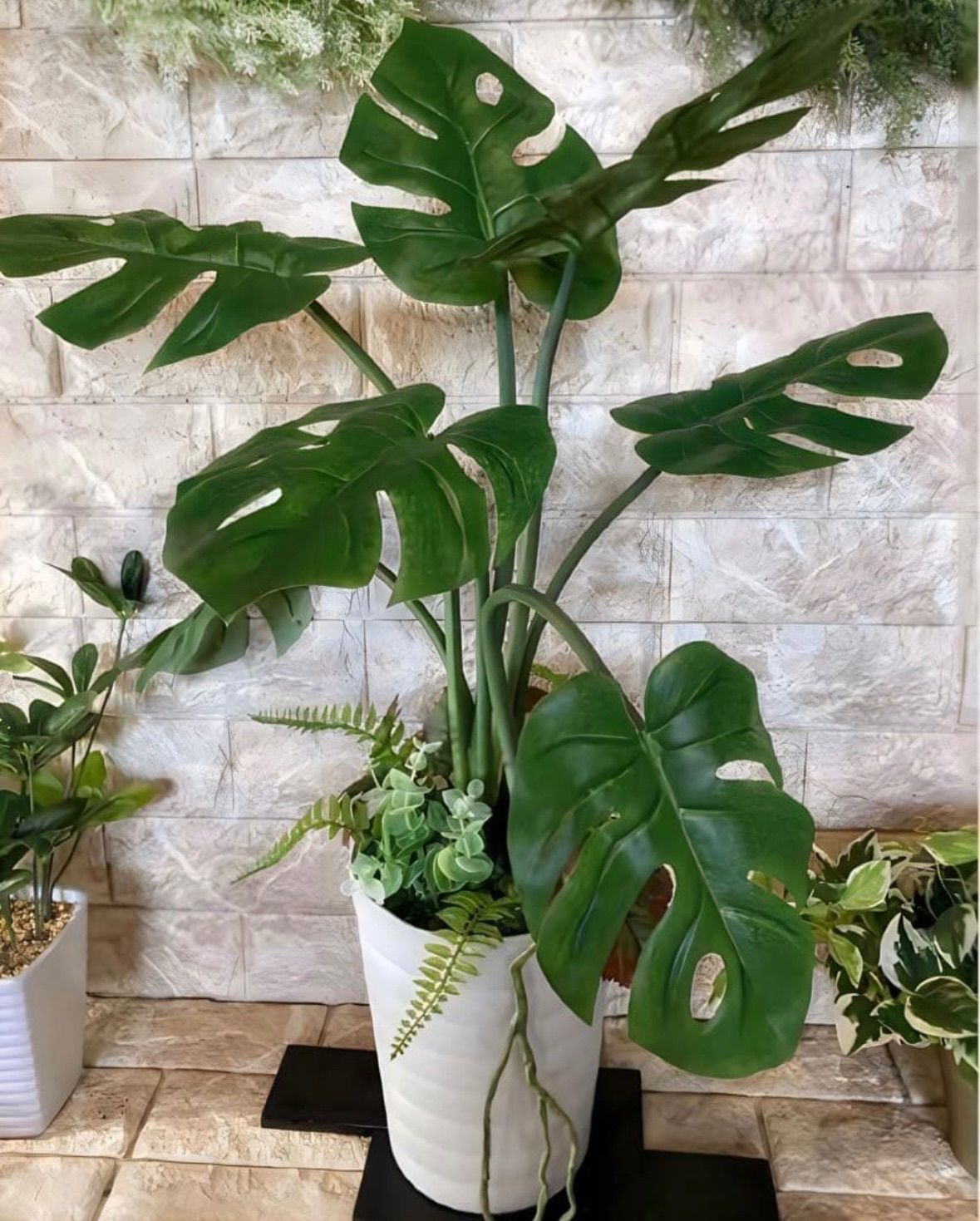 光触媒 人工観葉植物 ウォールグリーン フェイクグリーン oモンステラh