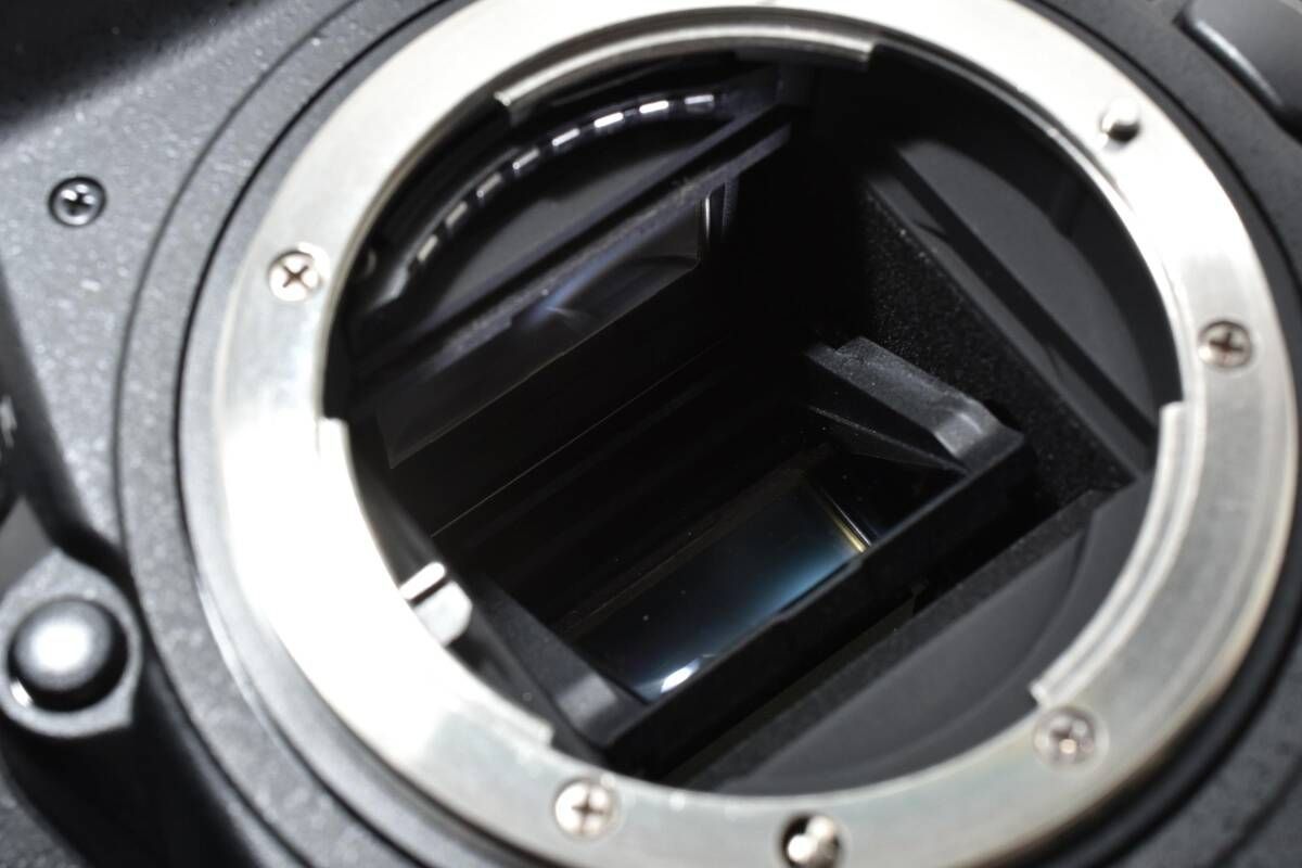 ☆極上品☆《ショット数40,124回》ニコン NIKON D500 ボディ☆ YMA9019