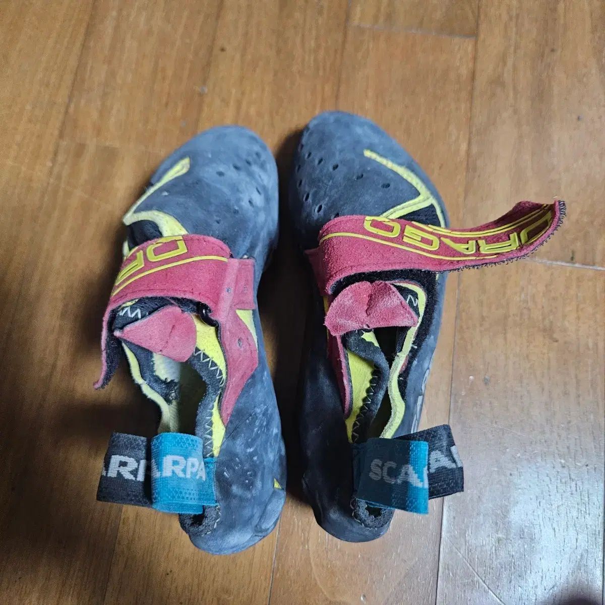 SCARPA スカルパ クライミングシューズ ドラゴ