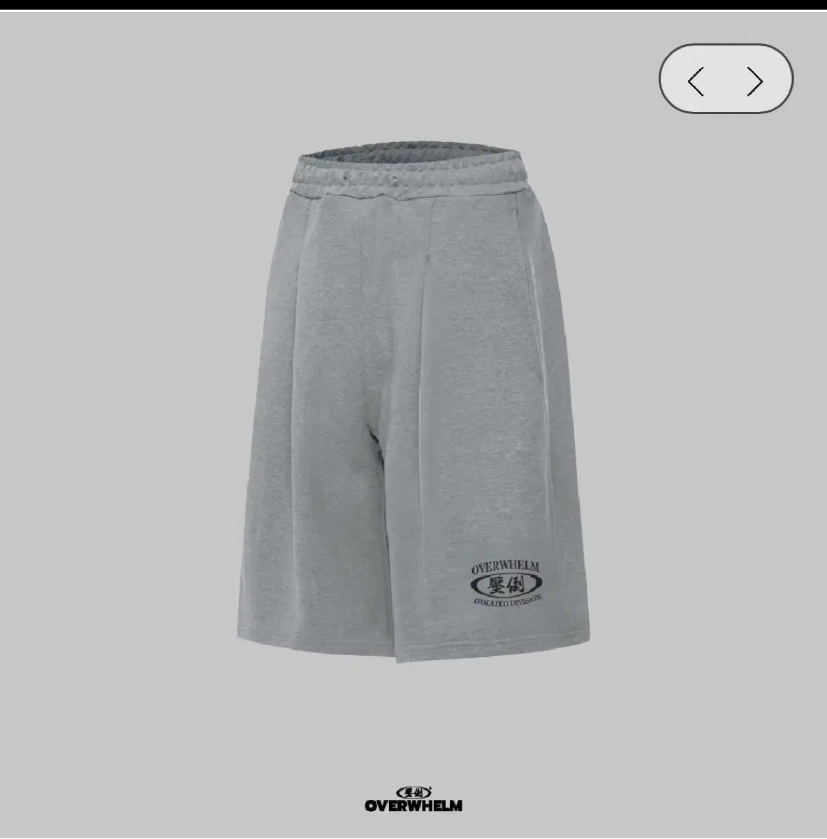 圧倒ビックロゴ バミューダ ハーフパンツ グレーL