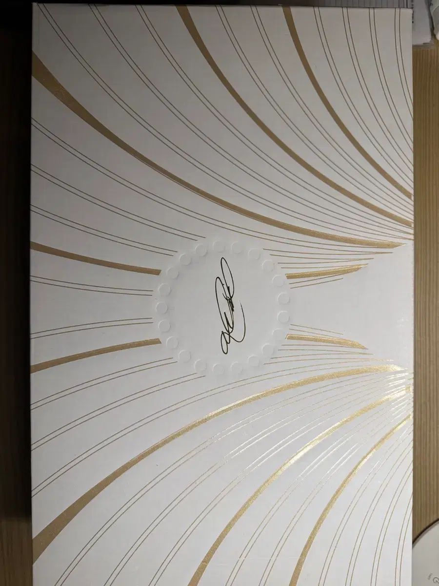 NIKE ナイキ LeBron 21