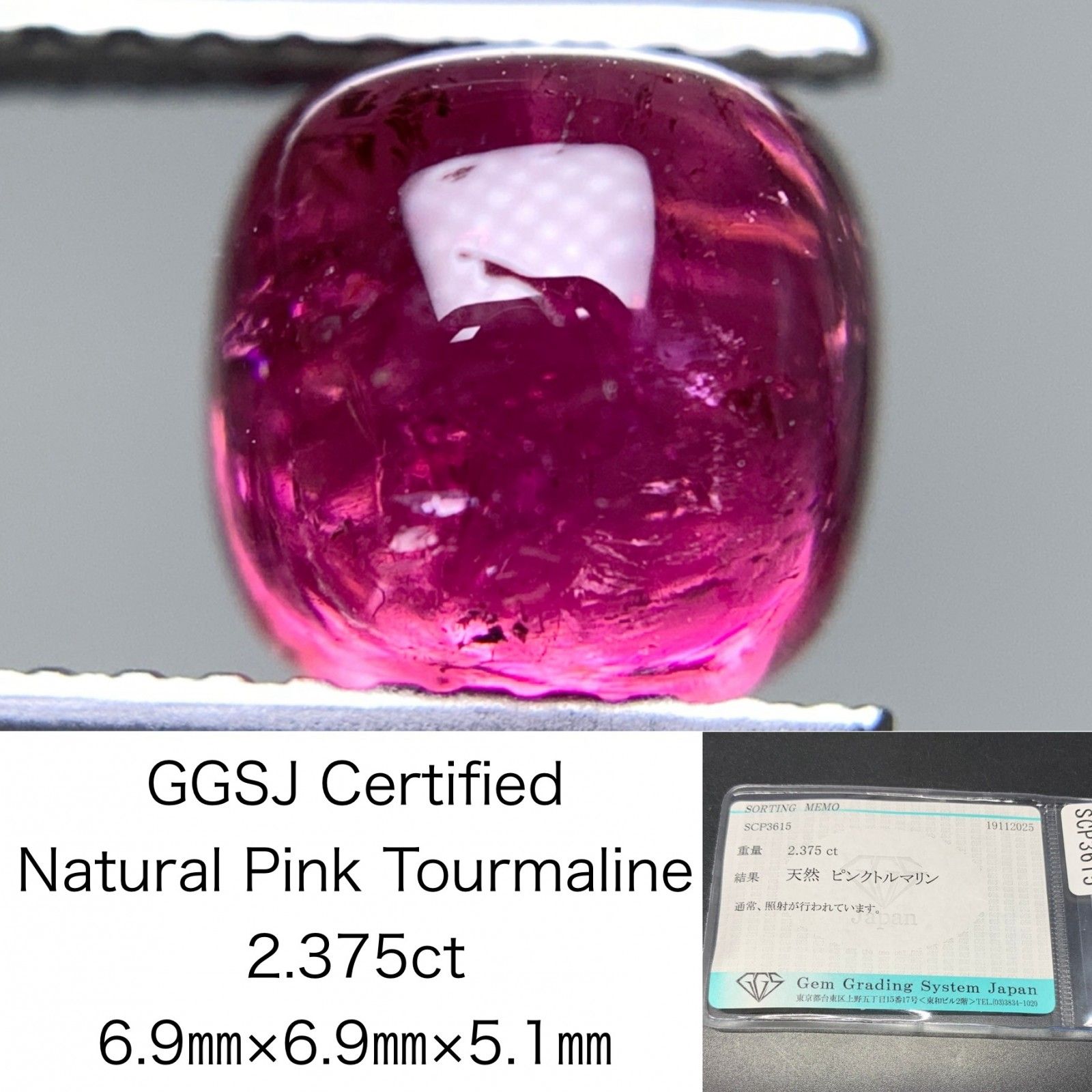 バルテュス、BALTHUS、12歳のマリア・ヴォルコンスキー王女