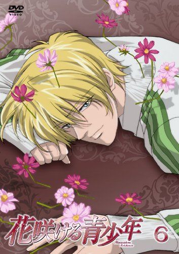 花咲ける青少年VOL.6 DVD