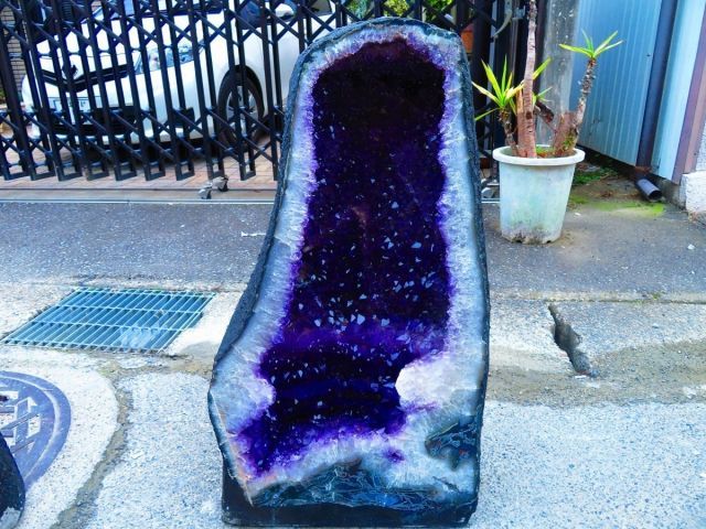 絶品濃い濃い超強パワー 超迫力 品 ウルグアイ産 天然水晶宝石 アメジストドーム超巨大135 kg 高さ700 mm tr 33513