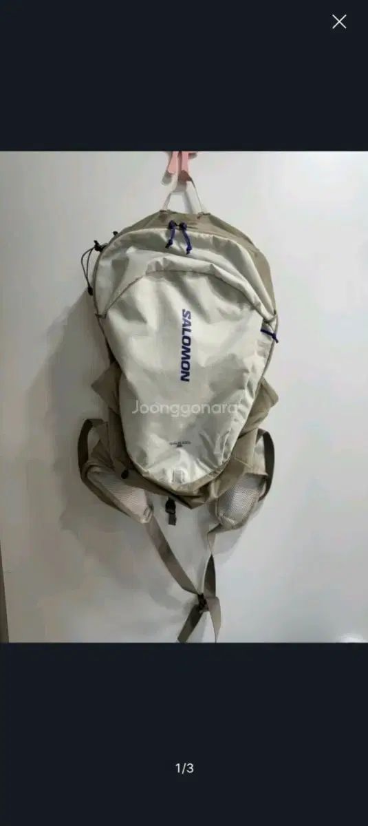 SALOMON サロモン トレイルブレーザー 10 ヴィンテージカーキ グレー ベージュ