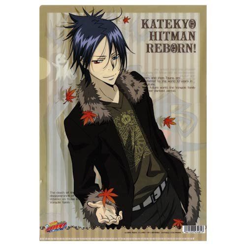 家庭教師ヒットマンREBORN! リボーン＆沢田綱吉、六道骸 クリア