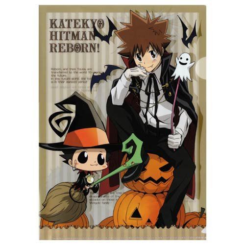 家庭教師ヒットマンREBORN! リボーン＆沢田綱吉、六道骸 クリア