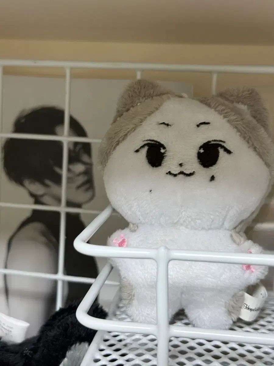 ENHYPEN ジョンウォン(JUNGWON・ヤンジョンウォン) ぬいぐるみ 出品