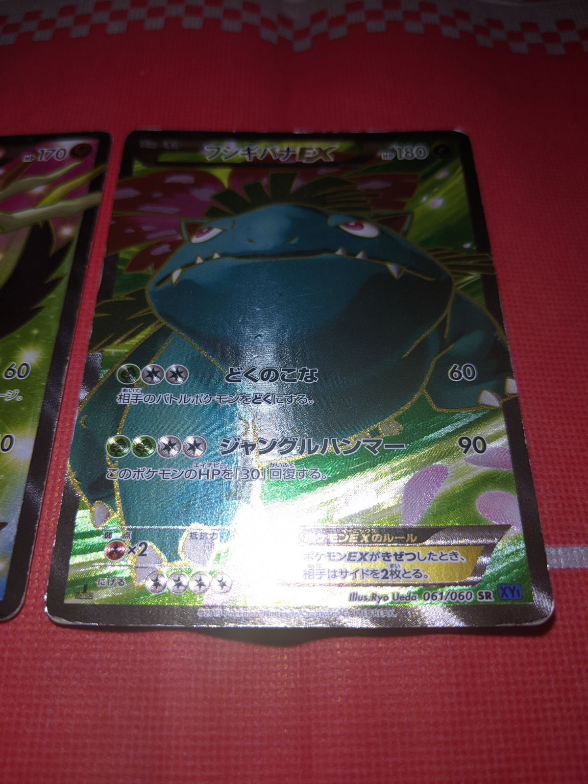 ポケモンカード フシギバナEX 061/060 SR ゼルネアスEX 063/060 SR XY1