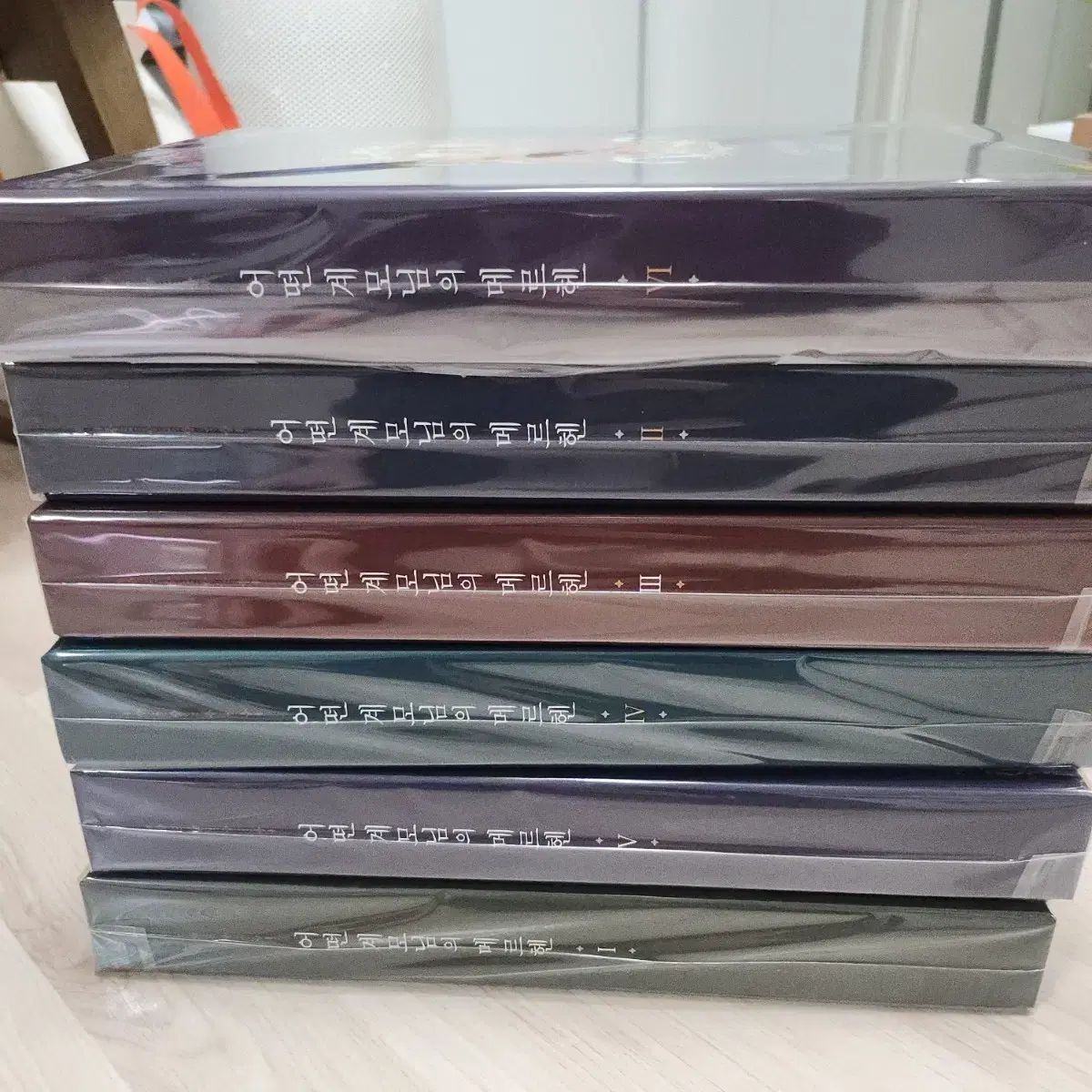 み22万円 ある継母のメルヘン モデル 販売 1 6