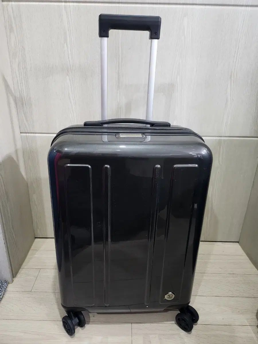 20インチエバーグリーン旅行用キャリー