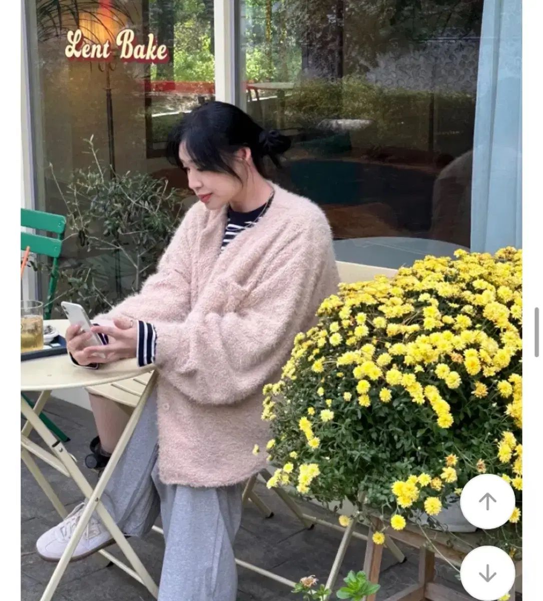 エウレギオ 原経済圏と河のヨーロッパ/京都大学学術出版会/渡辺尚