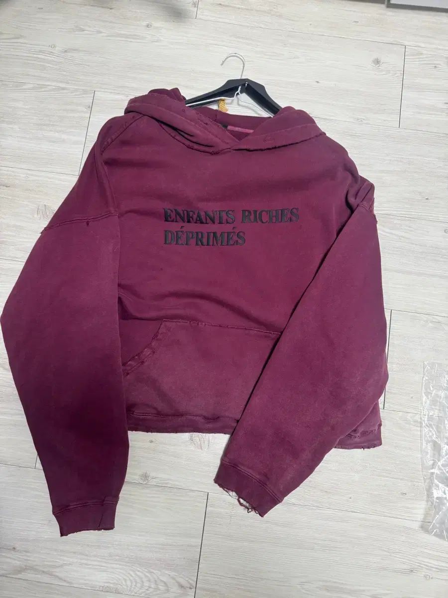 Erd ロゴ バーガンディ WHO フーディー