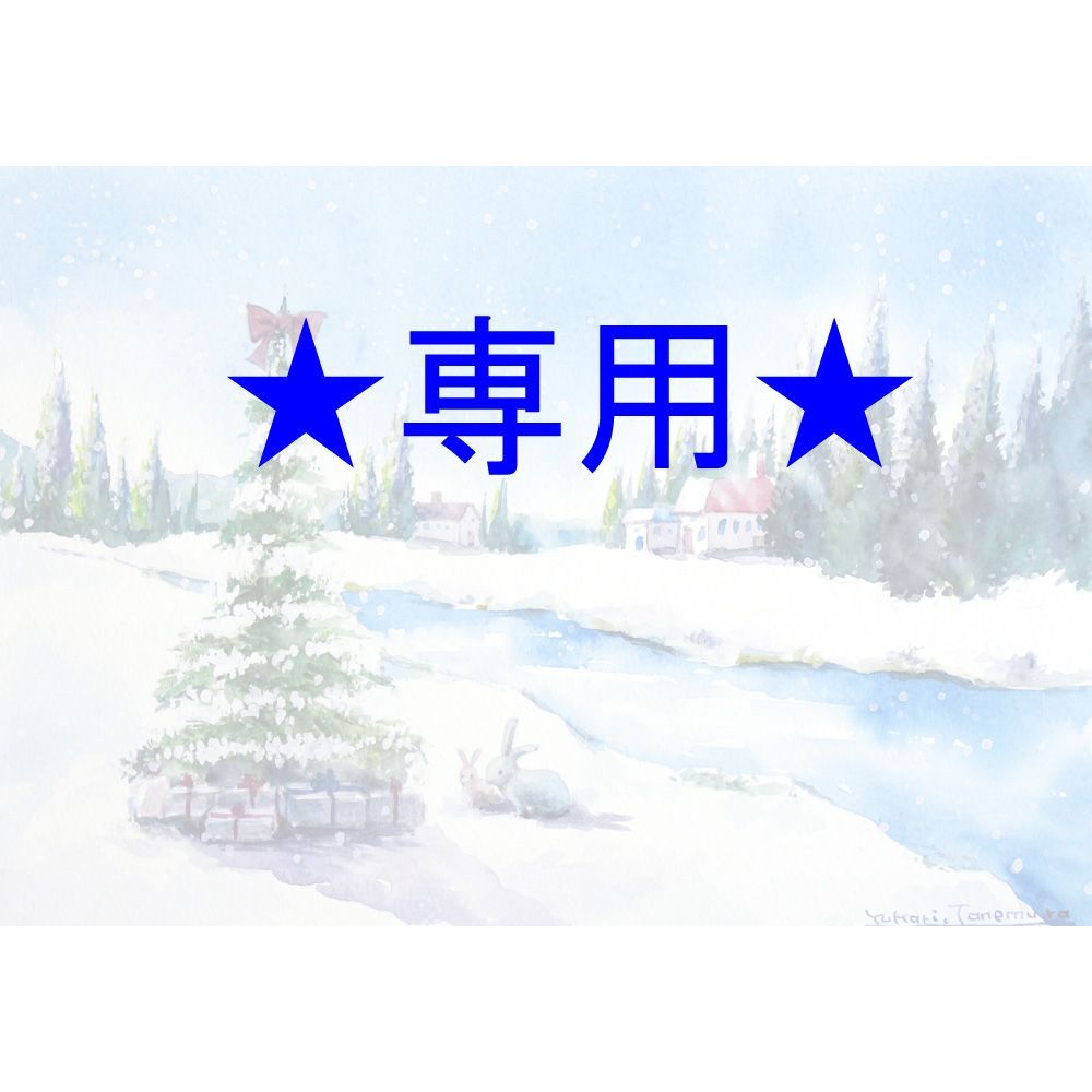 月兎 Tsukito ︎︎さま 原画 雪の日に SMサイズ 水彩画 2777