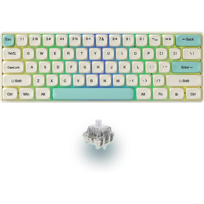 ラピッドトリガー キーボード ゲーミングキーボード メカニカル式 磁気軸 精度RT 0.04 mm RGB発光 61キー 伝送スピード8000 HZ Type-C USB有線接続 マグネチックシャフト LEDバックライト付き