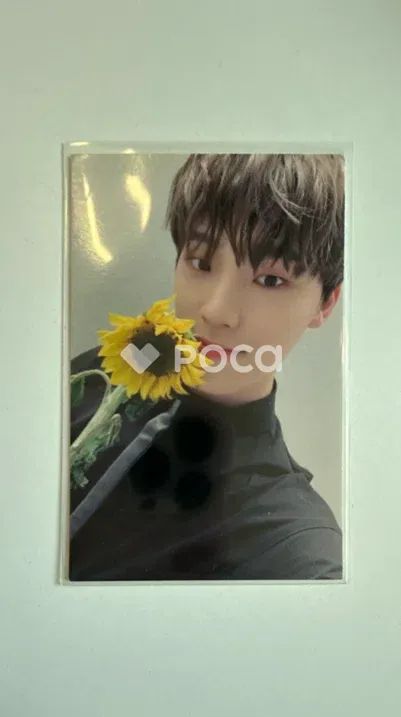 YOU MADE MY DAWN 公開放送 サノク トレカ - メルカリ