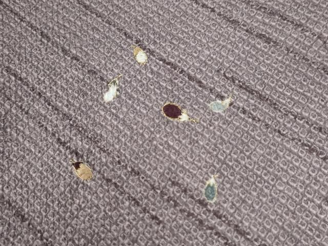 平和屋着物○訪問着 総絞り 刺繍 成り物 茄子 金彩 正絹 逸品