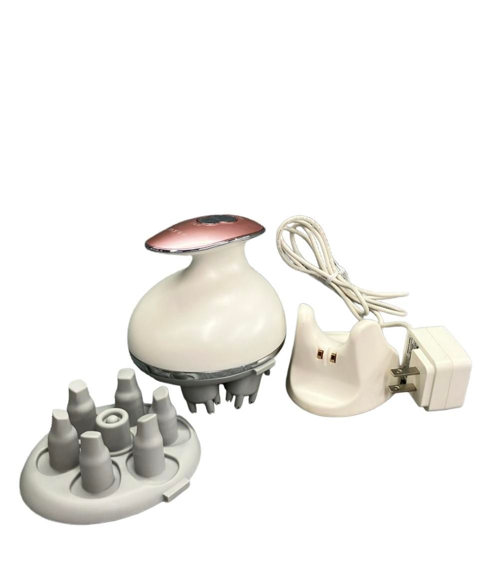 中国 定窯 白磁 刻神獣文 梅瓶 C R9370