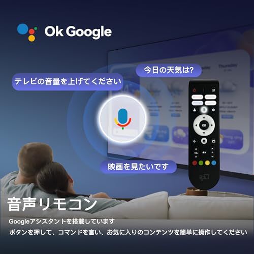 FPD チューナーレステレビ 32V型 720P Google TV ネット動画対応