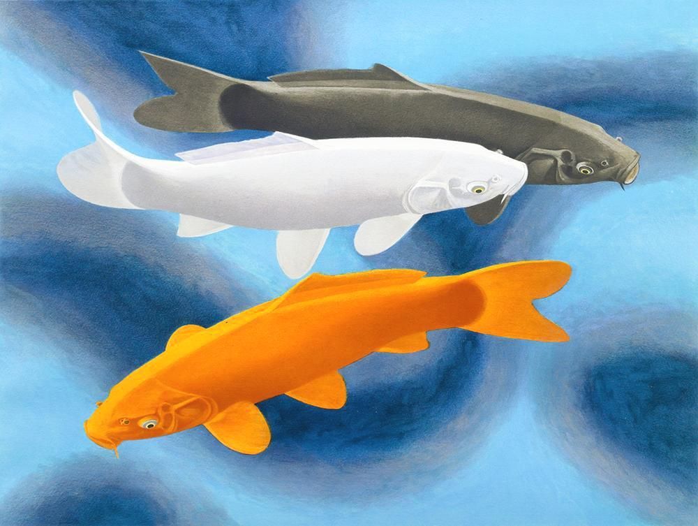 杉山寧 【鯉〈瀅（えい）〉】 リトグラフ 真作】【WISH】杉山寧「鯉(瀅)」リトグラフ 約10AC号 証明シール 〇