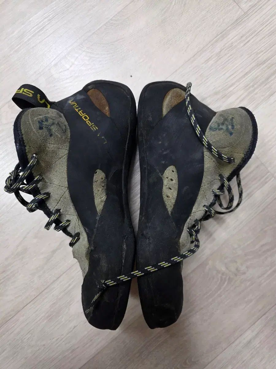 スポルティバ Tシャツ