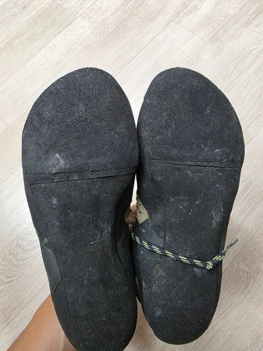  スポルティバ Tシャツ tc pro 40 その他 登山 クライミング用品