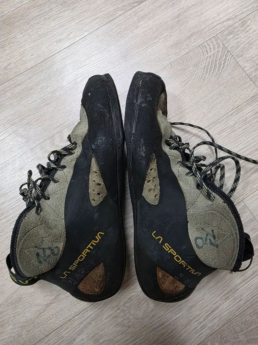 スポルティバ Tシャツ tc pro 40