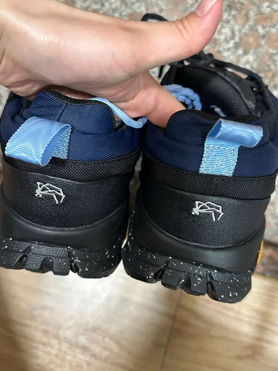 grds バルモラル10